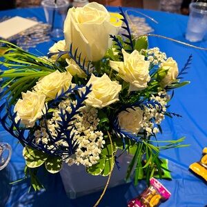 Meet your Posher, Aly